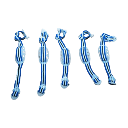 Çənə Kəməri